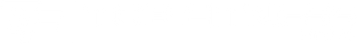 Top Fitness Store logo