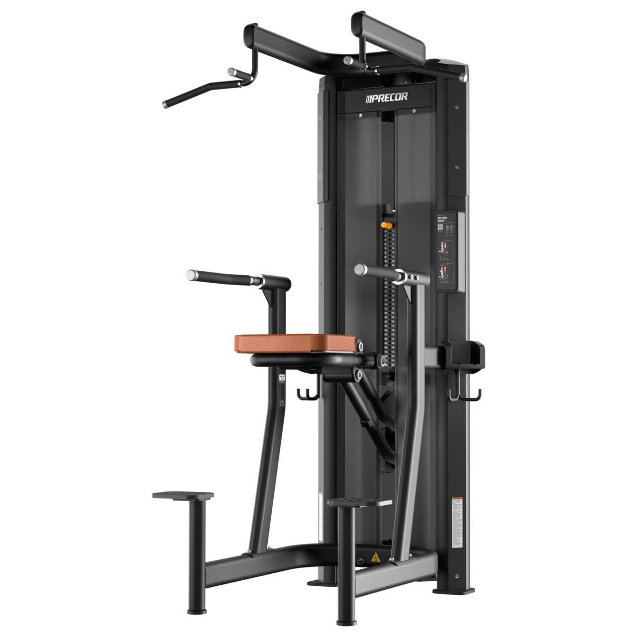 Buy Precor Resolute Dip Chin Assist (RMS0320) – Top Fitness Store