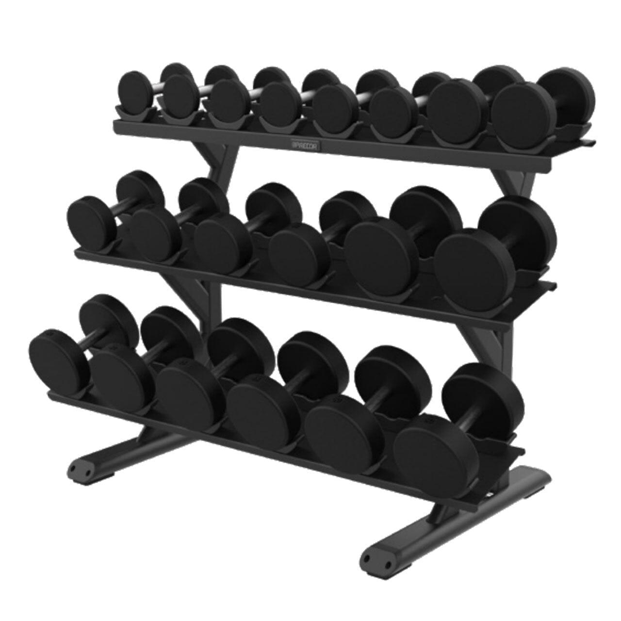 Precor Vitality Series 3-Tier, 10-Pair, Saddle Tray Dumbbell Rack (VBR ...